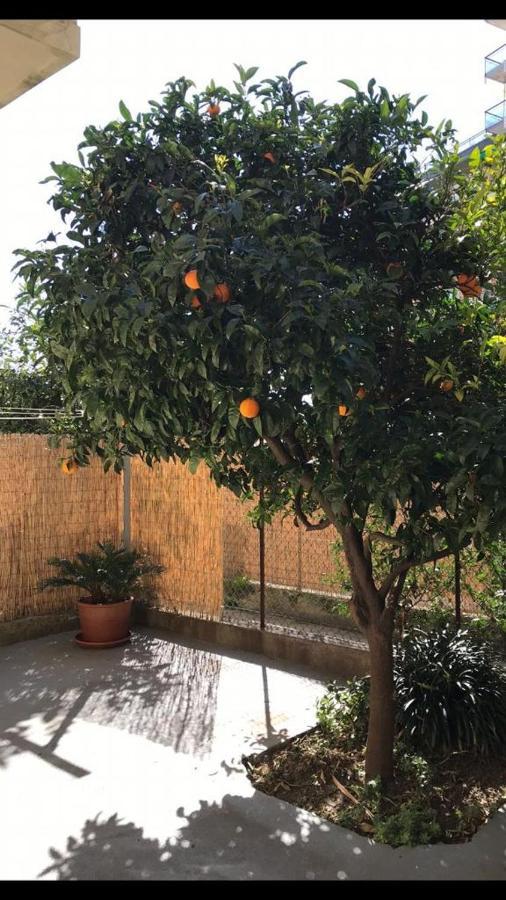 Grande Bilocale Con Giardino E Posto Auto Privato Comodo Al Mare Varraze Exterior foto